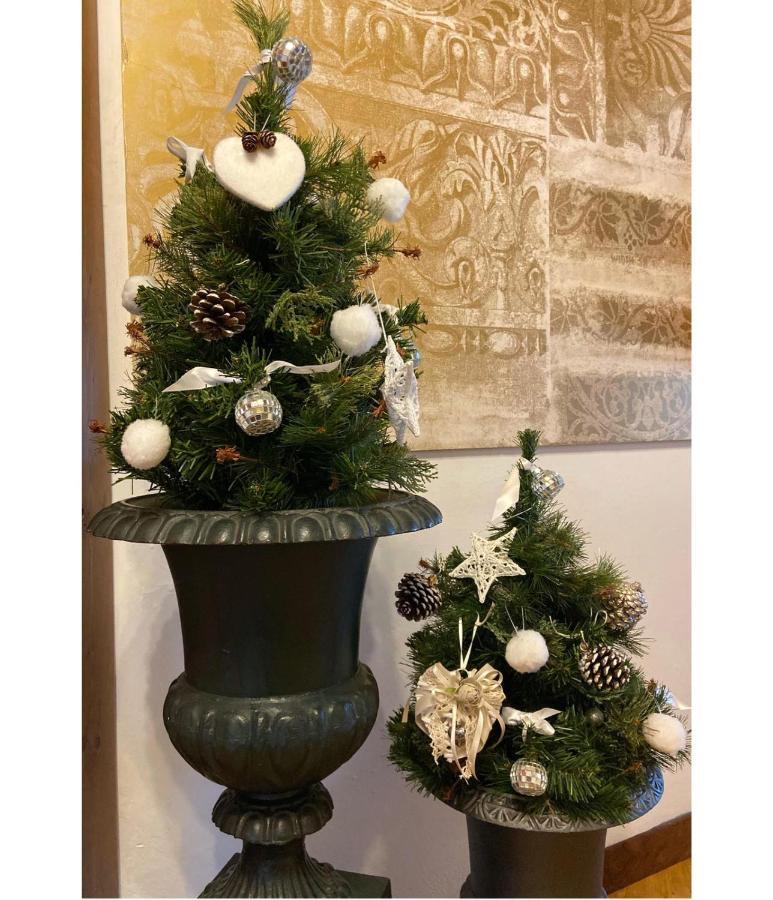 Albergo Garni Cavento ปินโซโล ภายนอก รูปภาพ